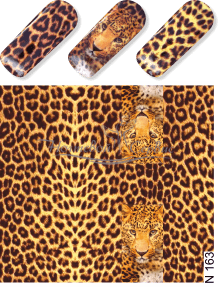 N 163 Леопард