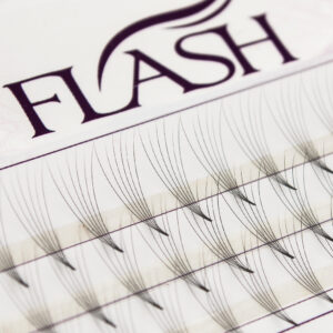 FLASH Вії пучкові 6D, вигин С, товщина 0.05 мм, довжина 10 мм, 60 пучків